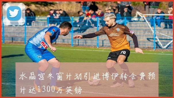 水晶宫冬窗计划引进博伊转会费预计达1300万英镑