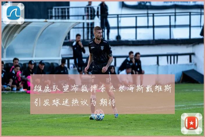 雄鹿队宣布裁掉奈杰尔海斯戴维斯引发球迷热议与期待